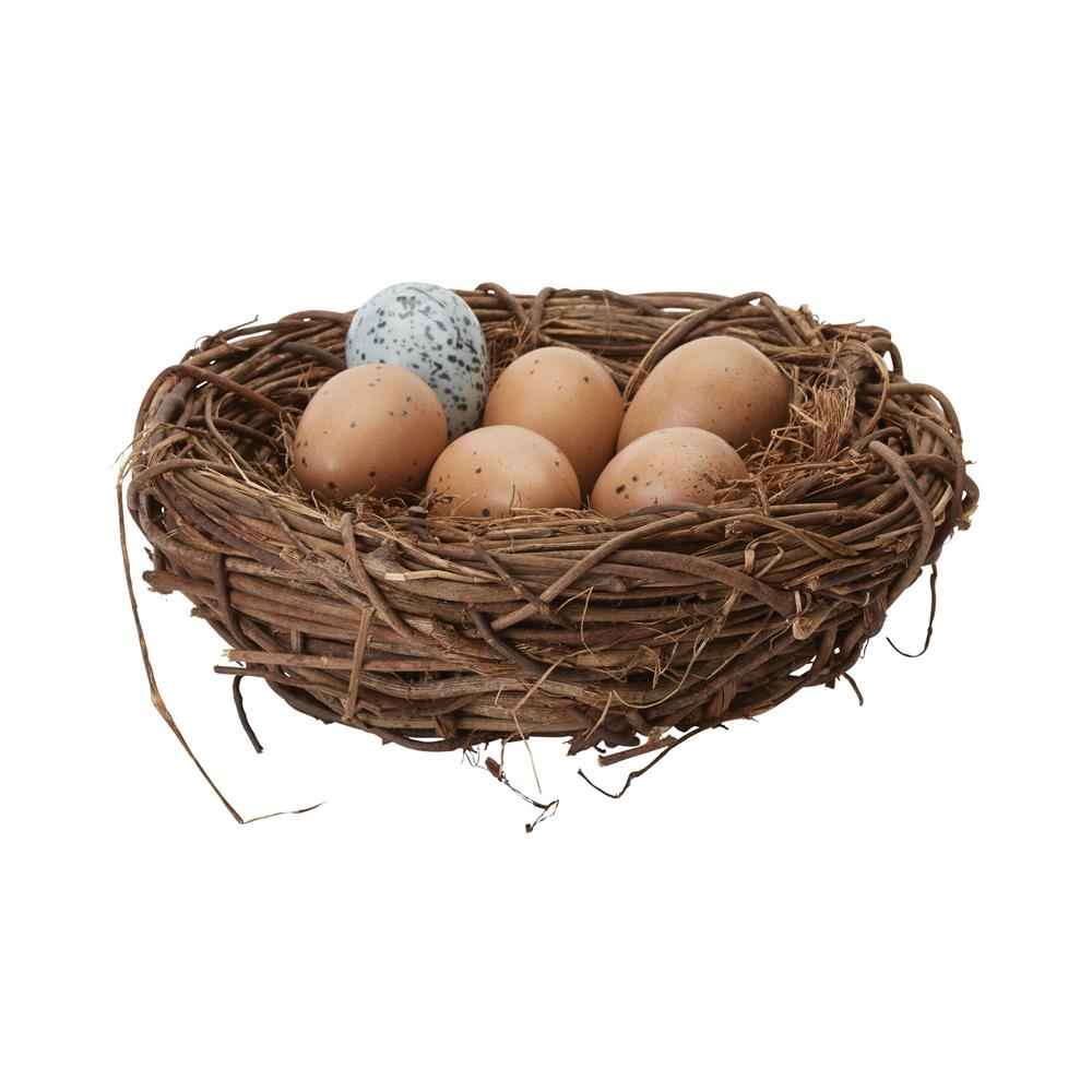 ELK Home 857097 Moor Hen Eggs In Nest in Brown